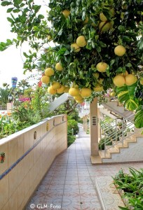 c9c34-atlantis-park_007