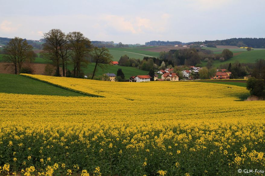 3365a-2017-04-29-LK-Muehldorf_005