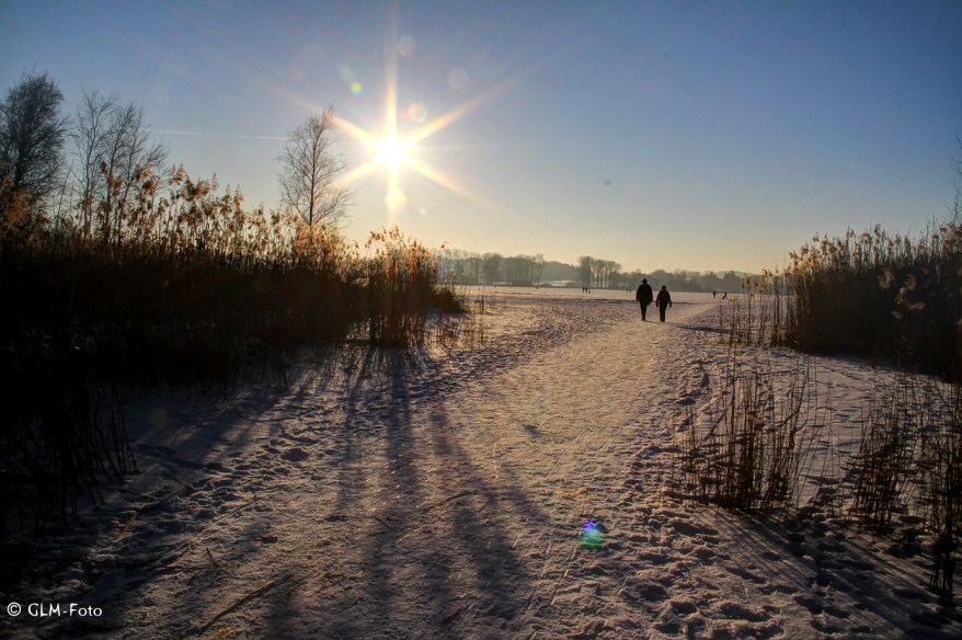 5b908-2017-01-29-Seeon-frozen_172