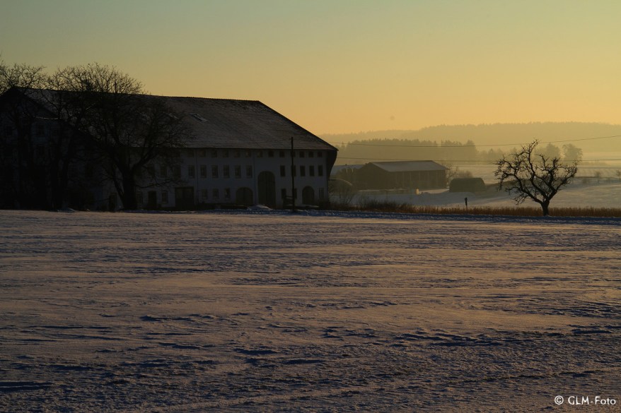 5e8db-2017-01-29-Winter_010