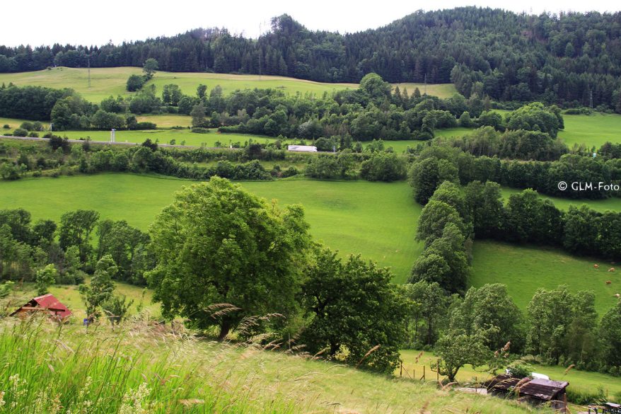 18d5a-2017-06-16-vorSchottwien_014