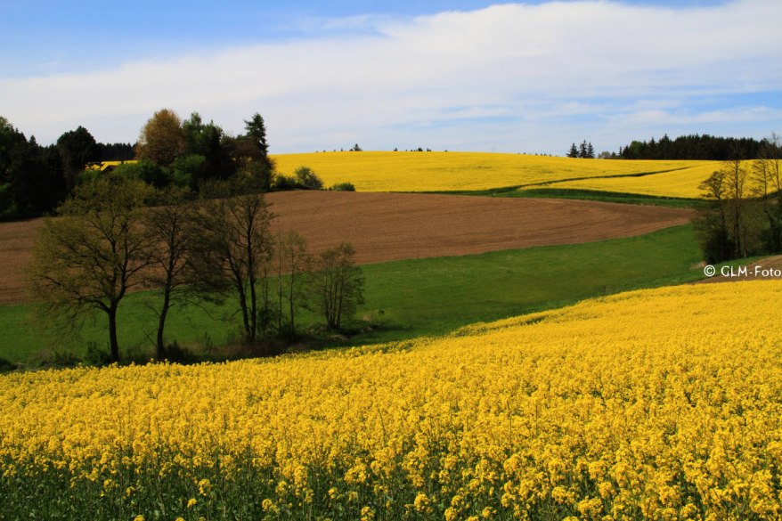 4d4d7-2017-05-06-BavarianSpring_175