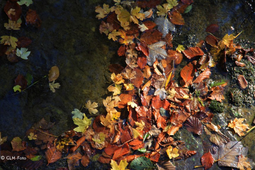 52c86-2017-10-14-Schneizlreuth_011