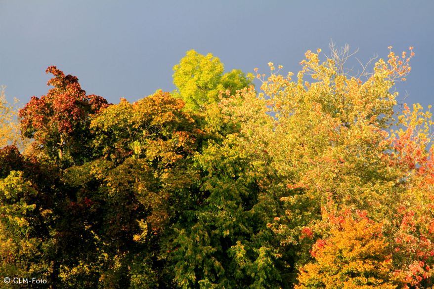 69631-2017-09-24-BavarianFall_013