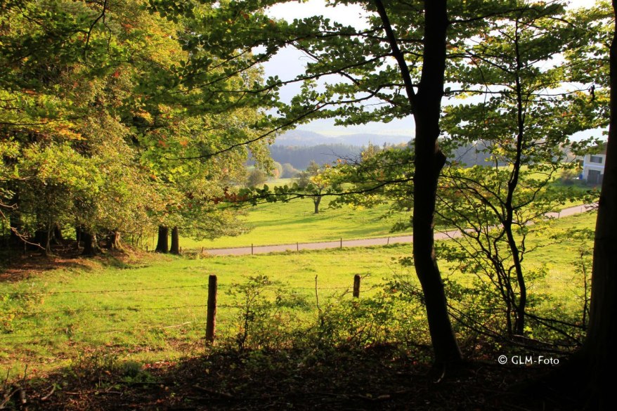 de2df-2017-10-01-BavarianFall_199