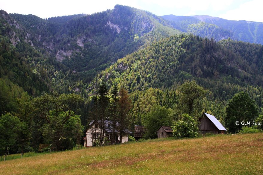 de387-2017-06-17-Nasswald_093