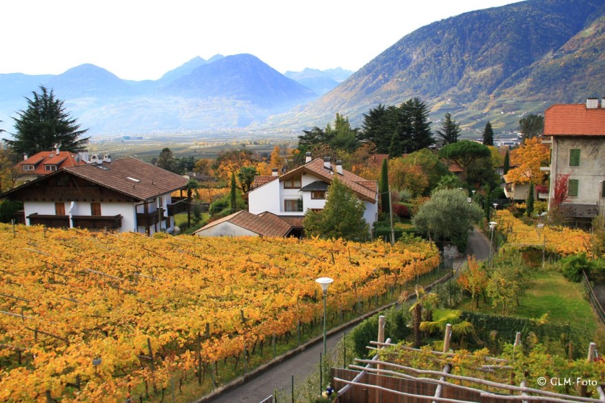 ee48f-2017-10-29-HotelLadurner_013