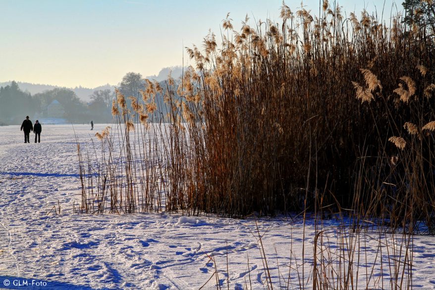 01-2017-01-29-Seeon-frozen_166