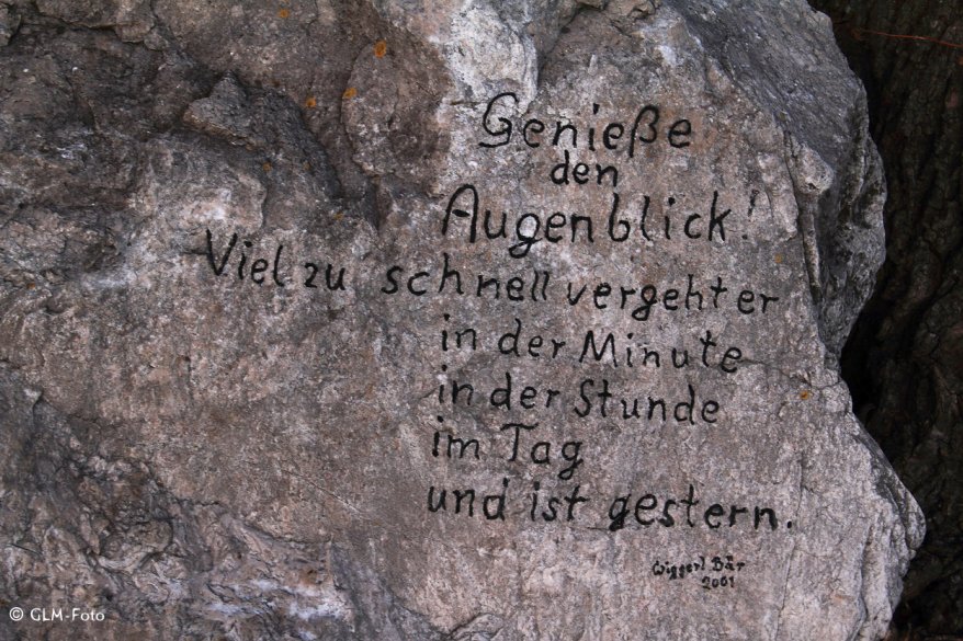 03-2017-03-16-Chieming_068