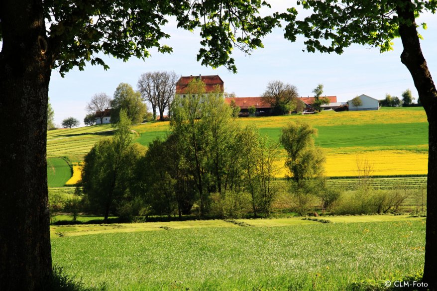 05-2017-05-06-BavarianSpring_422-a