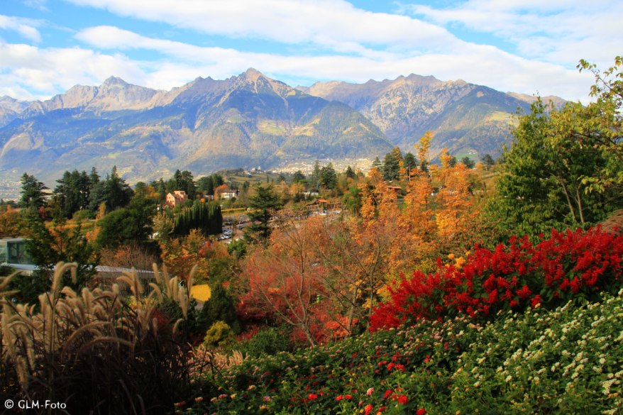 29874-2017-11-01-Trauttmansdorff_108