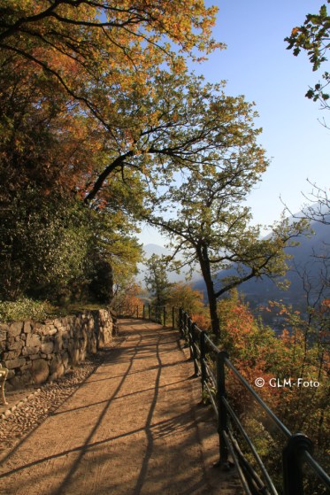 814eb-2017-11-03-TappeinerWeg_168