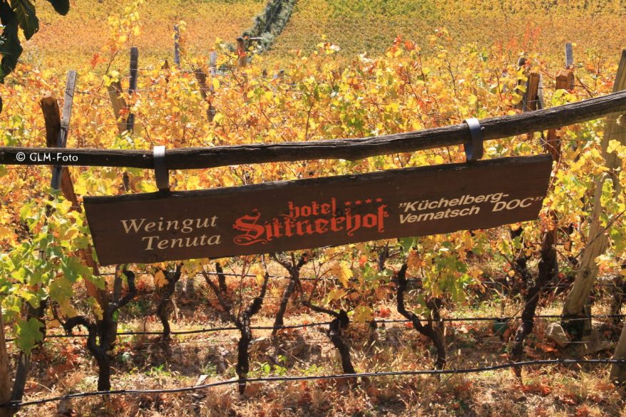 a6999-2017-11-03-TappeinerWeg_096