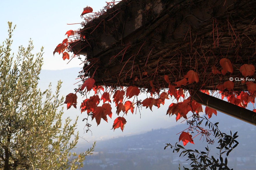 a8880-2017-11-03-TappeinerWeg_161