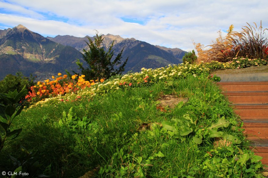 d54d5-2017-11-01-Trauttmansdorff_104