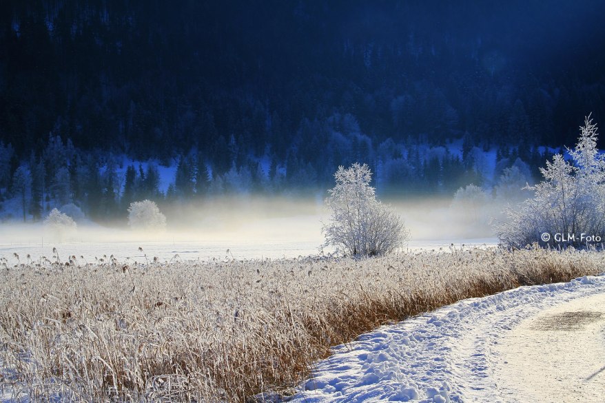 ee8a5-2017-12-26_Walchsee_107