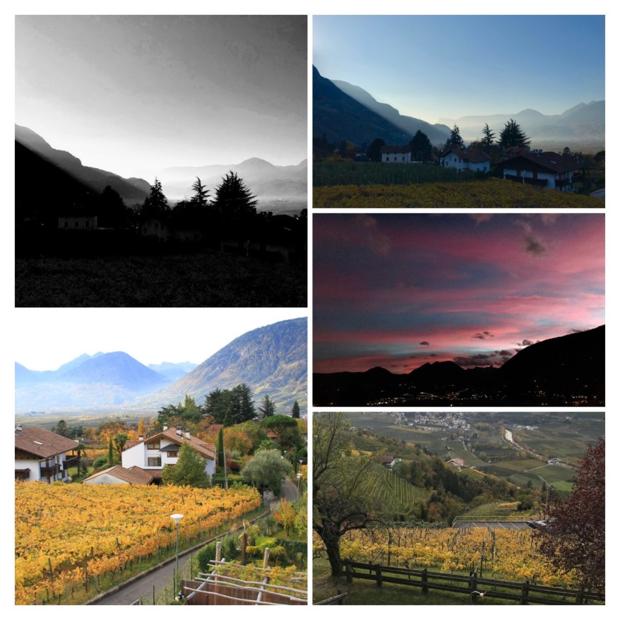 f838f-2017-11-HotelLadurner_001