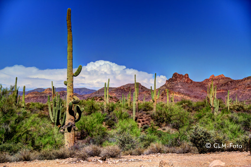 AZ-2012-07-27_Apache-Trail_155