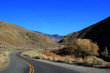 CA-2016-012-17-TOCharcoalKilns_014