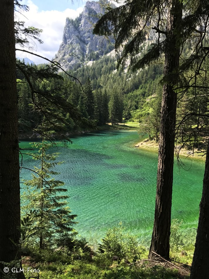 Grüner See bei Tragöß in der Steiermark - Blick vom Spazierweg auf den halb gefüllten See.