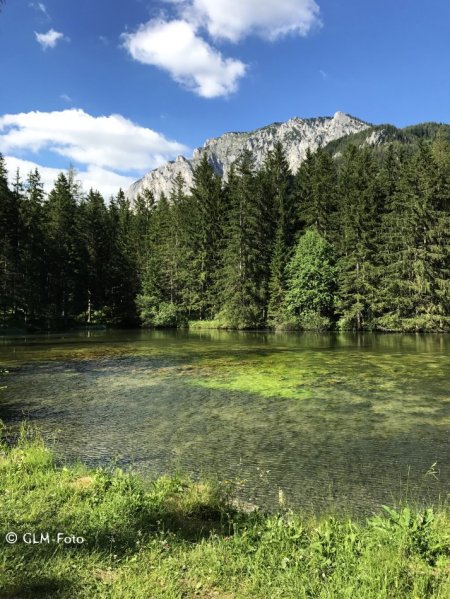 Einige weitere Farbnuancen des Grünen Sees bei Tragöß in der Steiermark.