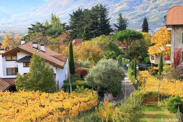 2017-10-29-HotelLadurner_006