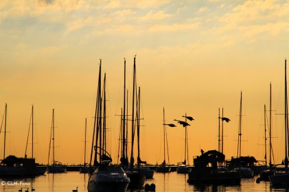 IL-2017-08-09-ChicagoDay_039