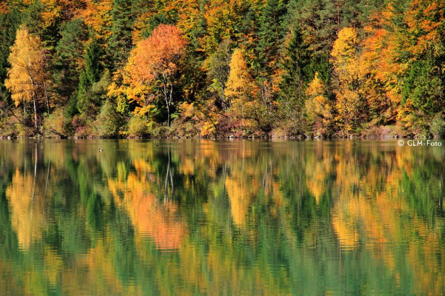 01-2017-10-14-SaalachseeFall_008