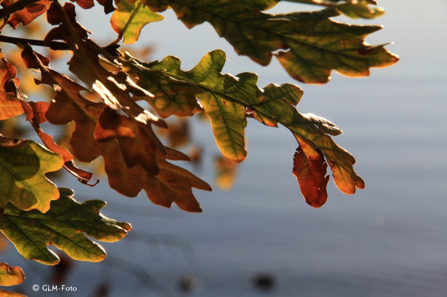 2017-10-14-Chieming_014