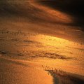 2016-08-26-MtStMichel_352